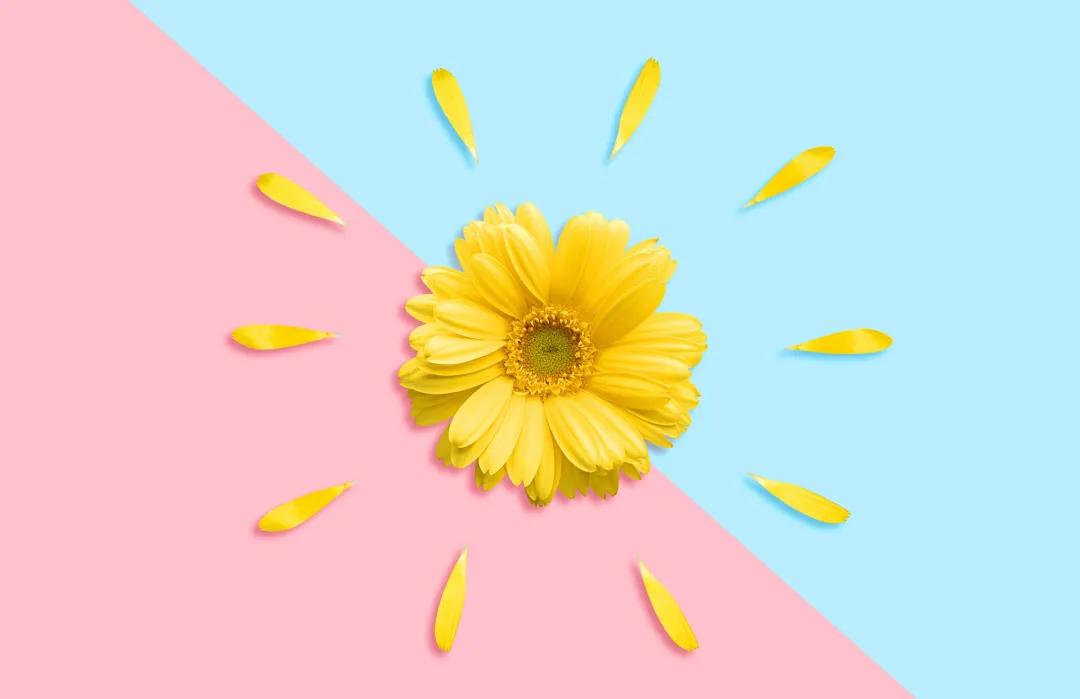 吻合器痔疮手术和传统痔疮手术,痔疮手术有多少种哪种效果较好