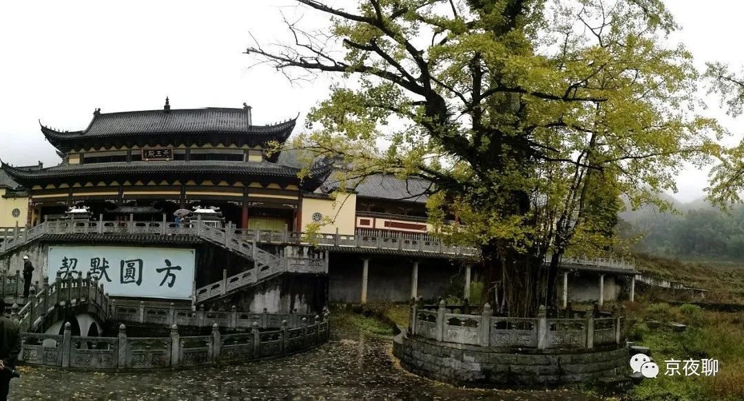 汪新星老师,汪新星