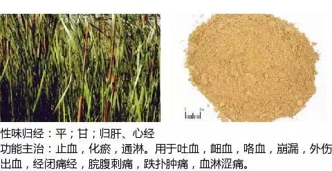 常用中草药名称大全图片及药效,常用中草药药效大全