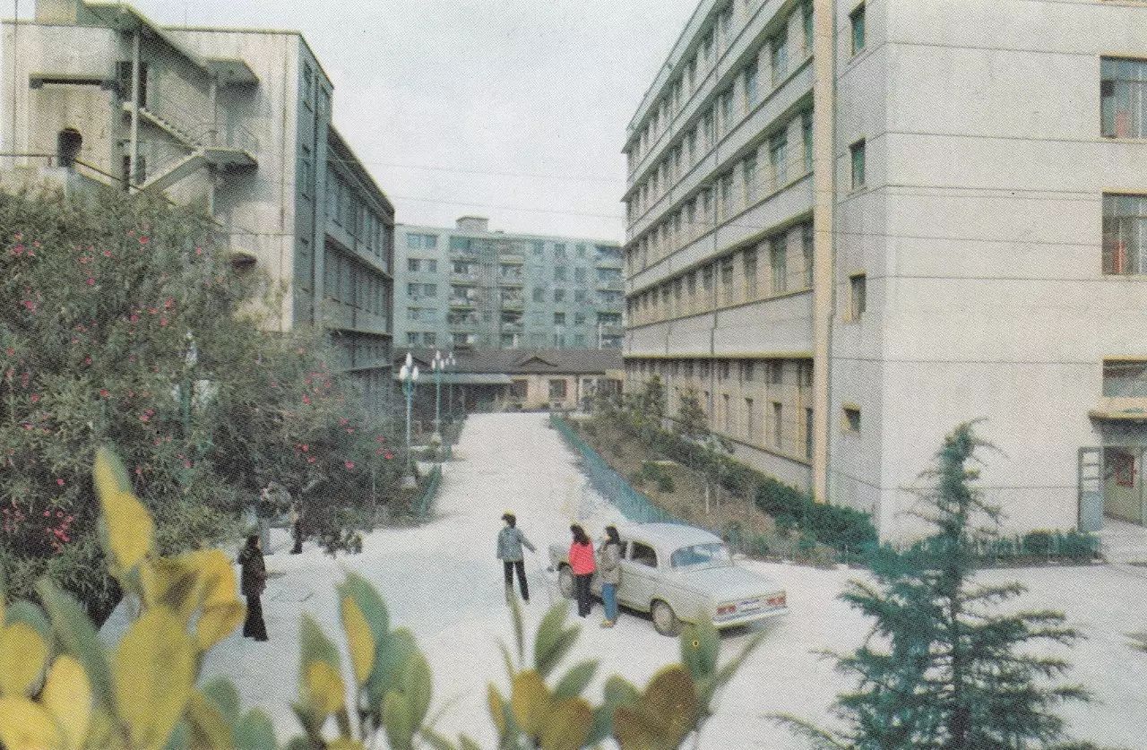 黑猫警长还会不会有下一集,黑猫警长还有下集吗