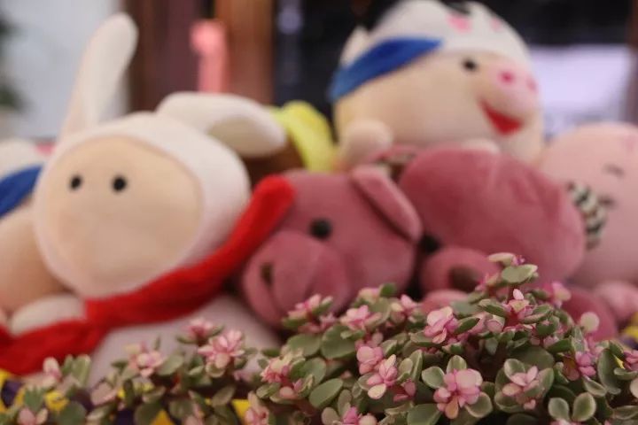 打造美容院网红店的运营方法,美容工作室如何打造成网红店