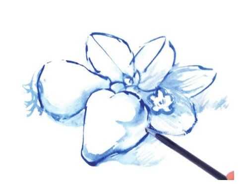 透明碗装草莓水粉怎么画,怎么用水粉颜料画草莓