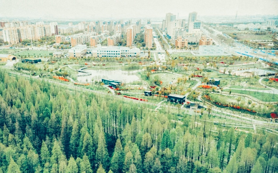 你真的了解宜宾吗,带你了解临港