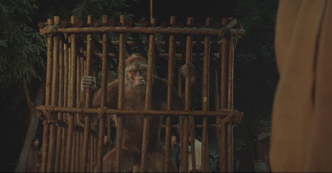 2021年最吓人国产惊悚片,2021年国产惊悚片