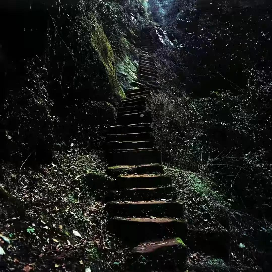 隐居深山40年的姐弟恋,姐弟恋40年隐居深山