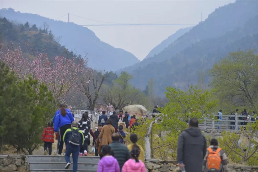 天蒙山踏青赏花,蒙山景区赏花