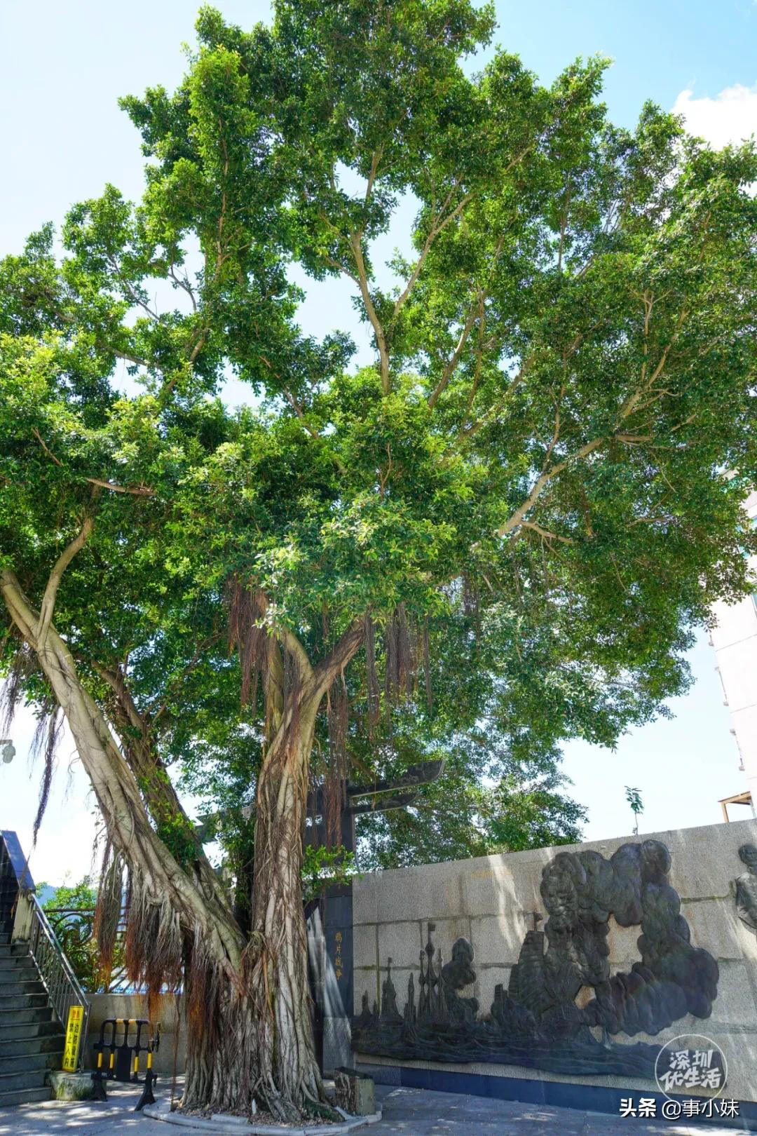 疫情过后中英街开放了吗,香港疫情下的中英街