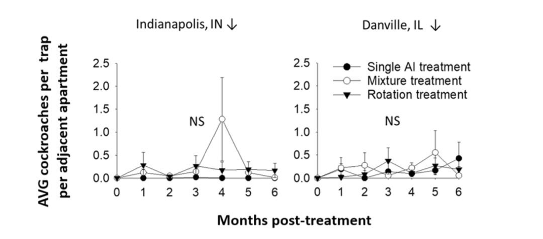 你家的蟑螂多吗,你家的蟑螂再嚣张也躲不过这一招