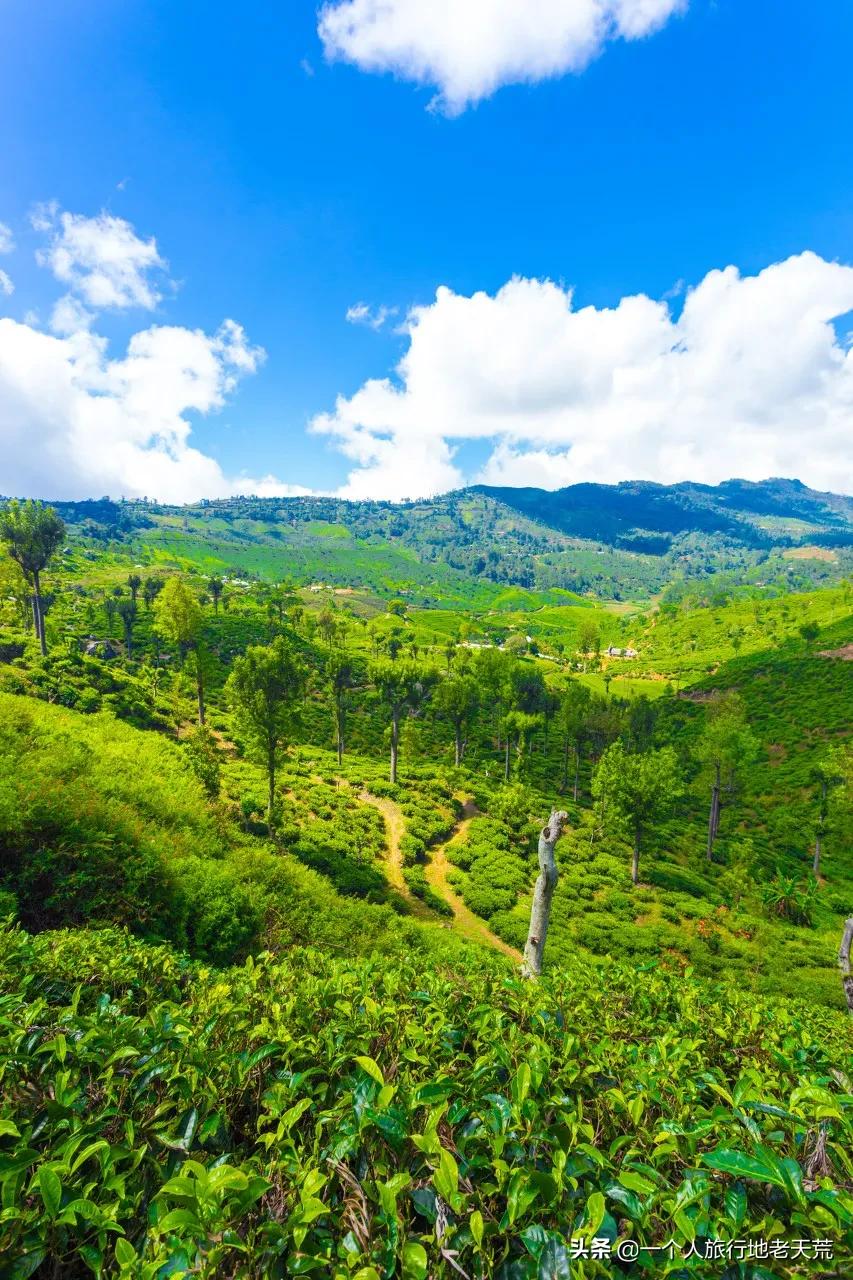 突然很想去看看,突然想去北京看看