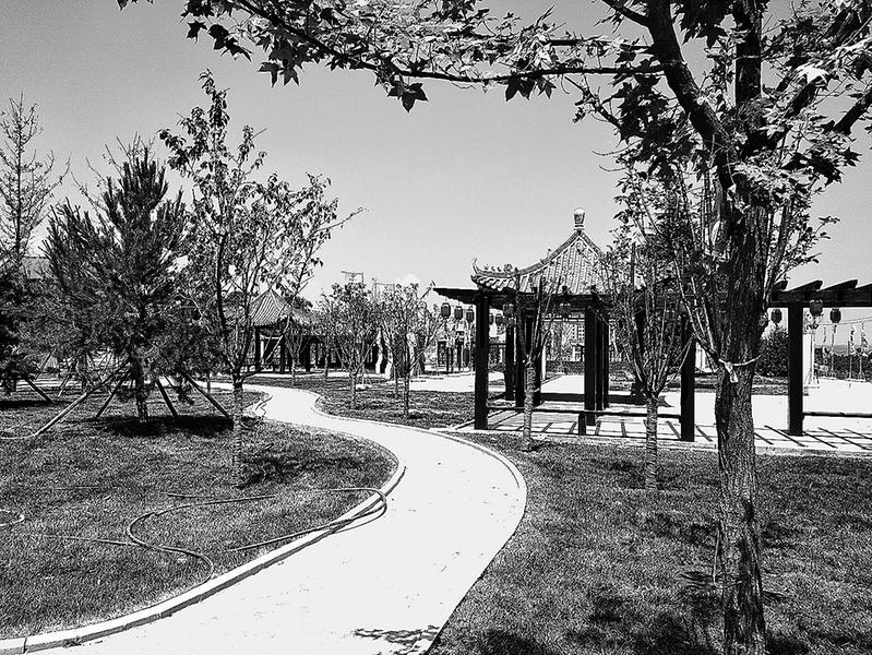 铿锵脚步踏歌行——洛川县经济社会发展半年“回头看”