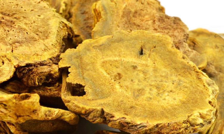 用大黄能治疗什么病,大黄治便秘用法用量