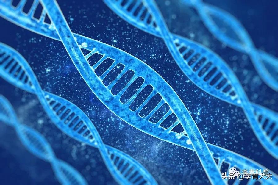 新药治多囊肾,多囊肾治疗的新药