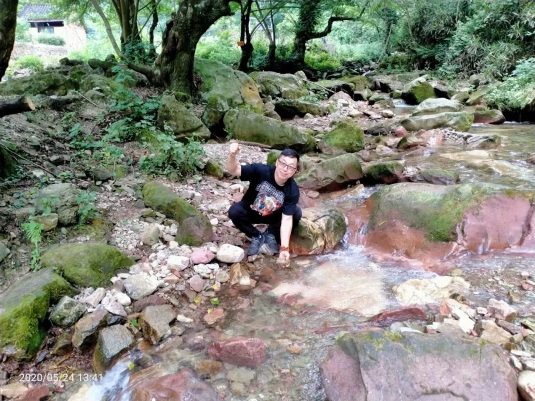 张家界的莓茶酥,张家界的莓茶是什么植物