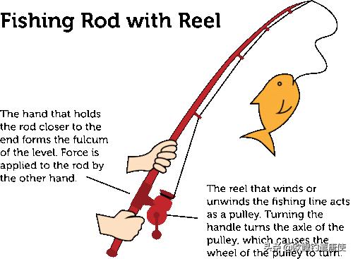 欧鲤钓竿买多长合适呢,欧鲤钓竿全套装备推荐