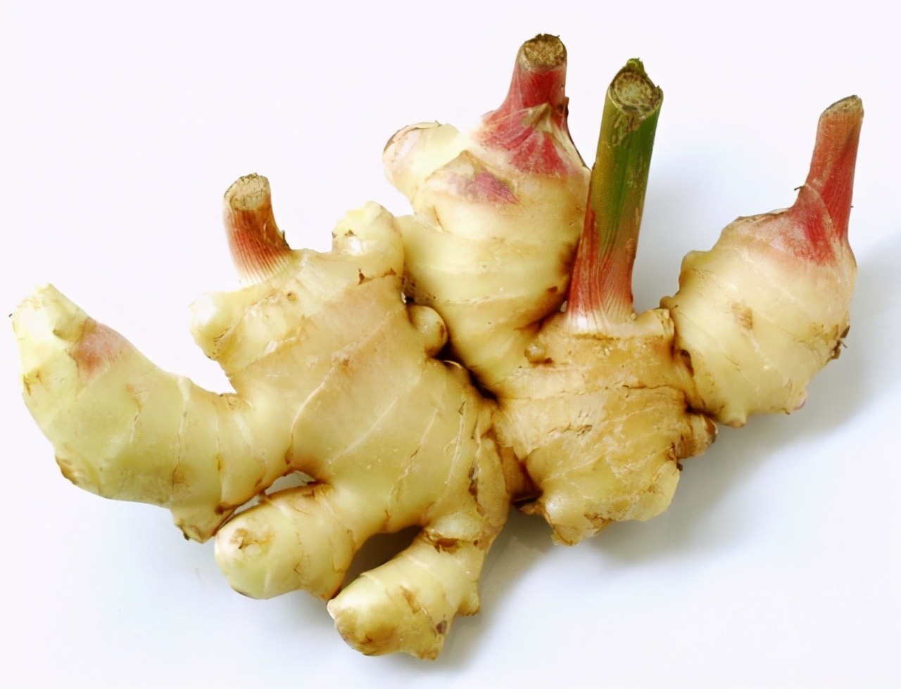 鎴戠埍鎴戠殑瀹朵埂鍒涙剰,鎴戠埍鎴戠殑瀹朵埂瀹炶返鏁欐