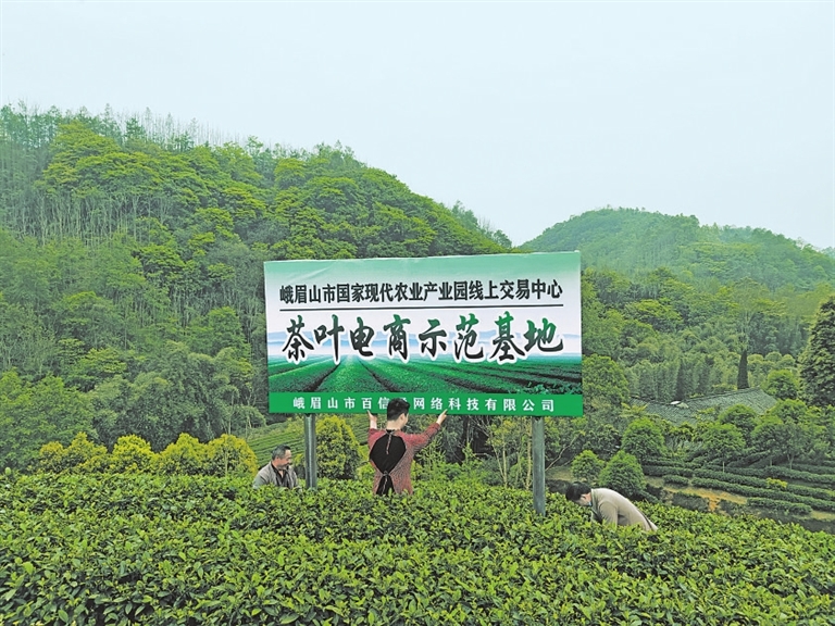 四川新建农村电商示范县,四川有哪些县农村电商