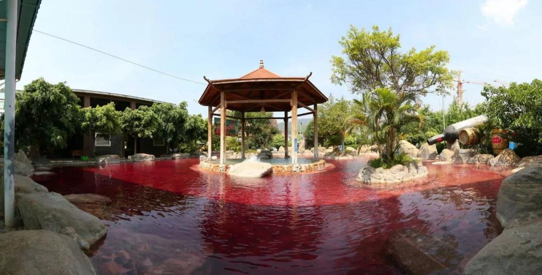 去云南哪里泡温泉最好,云南必去十大景区推荐