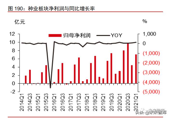 2021年消费产业下半年投资策略