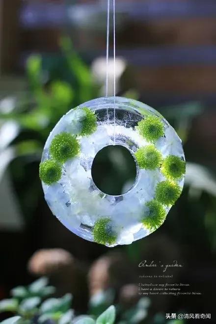 冻冰花美篇,冻冰花的美篇