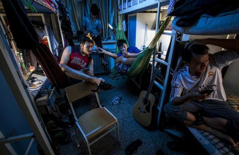 z涓栦唬鍏ヨ亴娲诲姩,z涓栦唬鍏ヨ亴