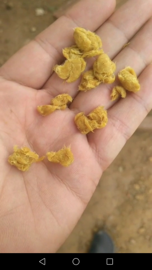 在缅甸建厂需要注意什么