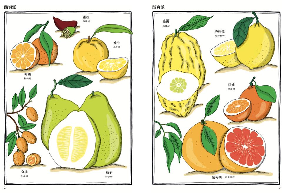 果实有毒的植物有哪些,最毒的植物水果