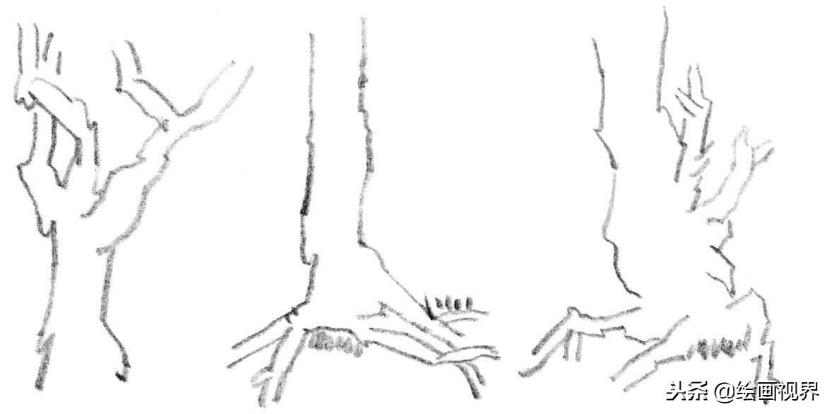钢笔画入门教程花鸟,钢笔画入门基础教程人物
