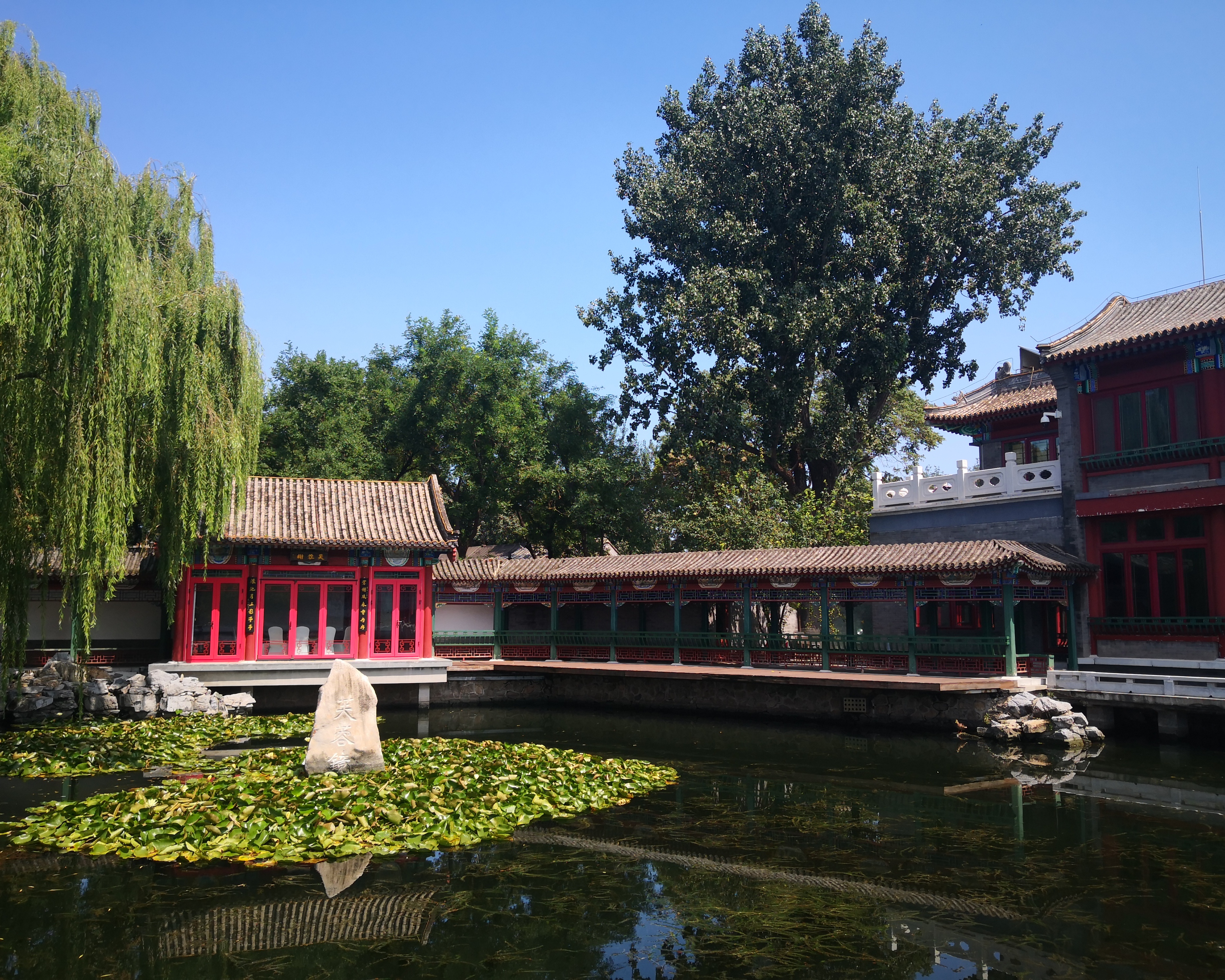 什刹海傍晚怎么玩,什刹海附近晚上适合玩的地方