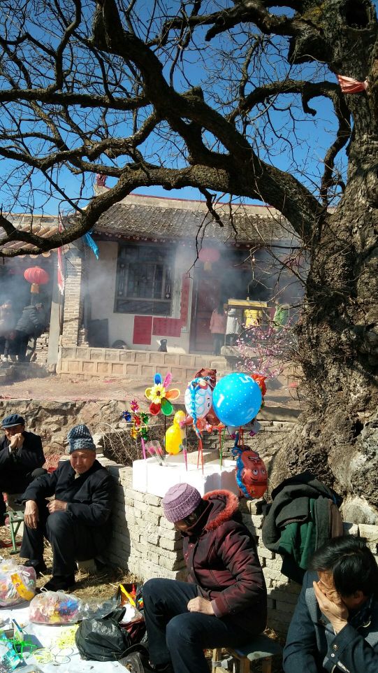 如果在洛南遇见你