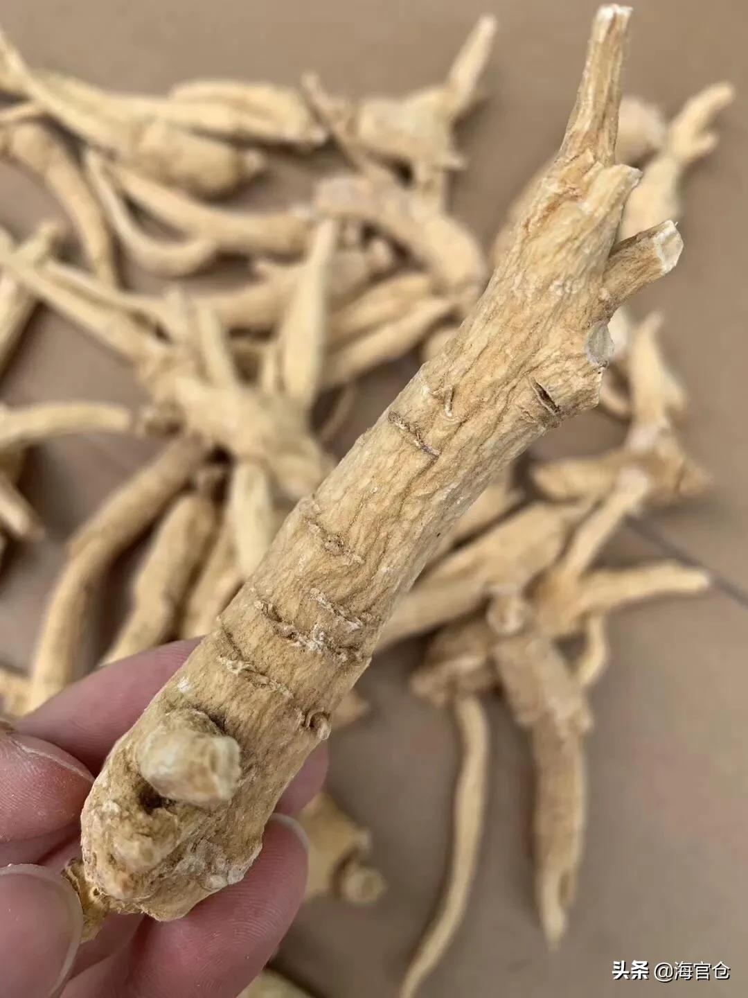 冬天西洋参泡水喝的正确方法,西洋参秋天怎么喝