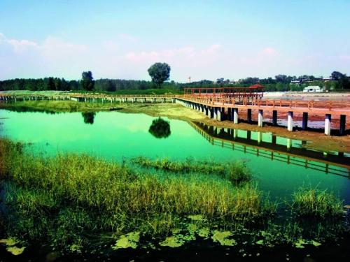 不出郑州旅游攻略,郑州五一游玩公园推荐