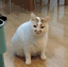 通鼎互联的无限循环“割韭菜”，给爷看傻了