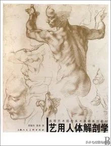 插画师入门必备,画画初学者临摹插画书
