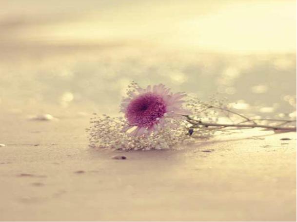 与其每天闷闷不乐还不如坦然一点,与其每天烦恼不如开心