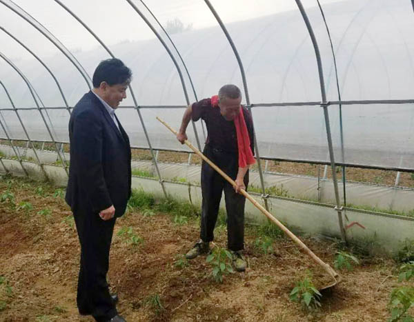 舒城城关镇:大棚里,一份关爱,十份收获