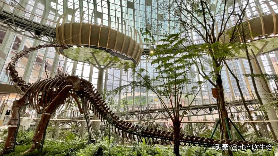 光环购物公园开业了！金州商圈杀入重庆北商圈大战