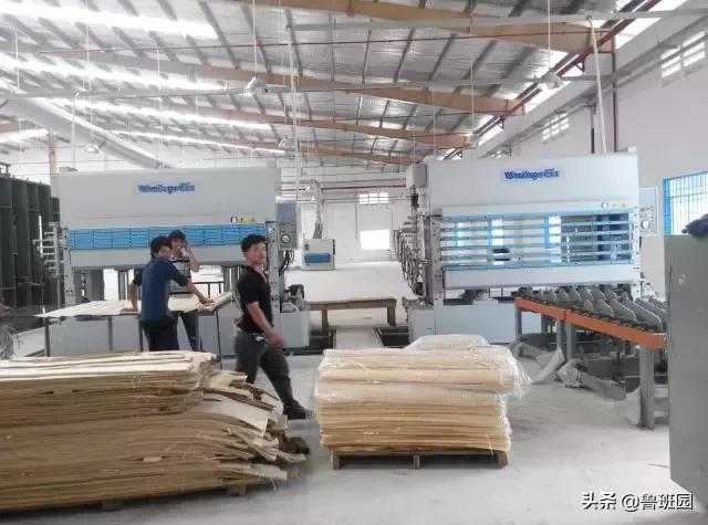 天然木皮源于大自然的美感,天然木皮的美