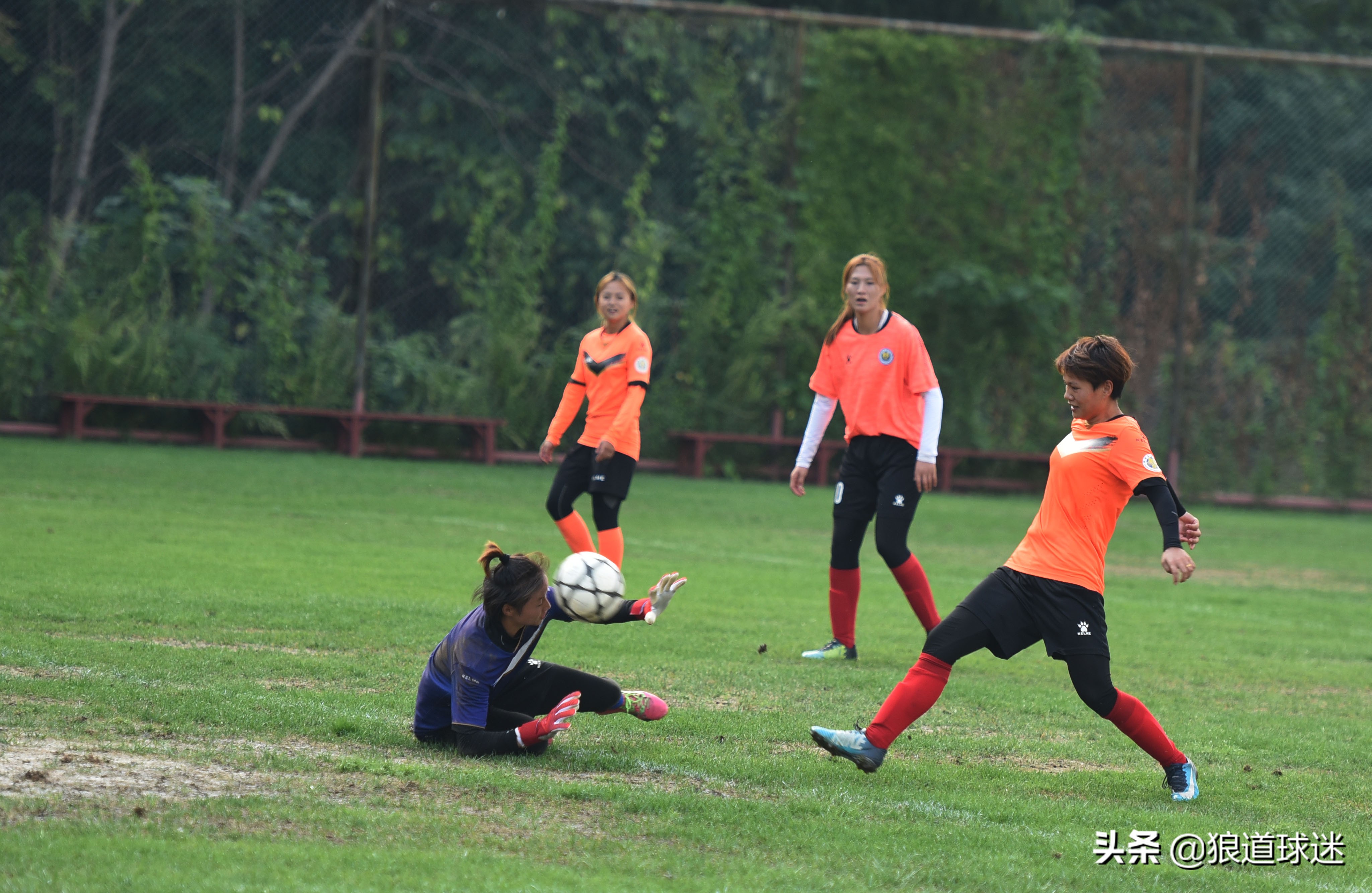 陕西女足十场全胜比赛,女足丙组足球比赛陕西vs山东