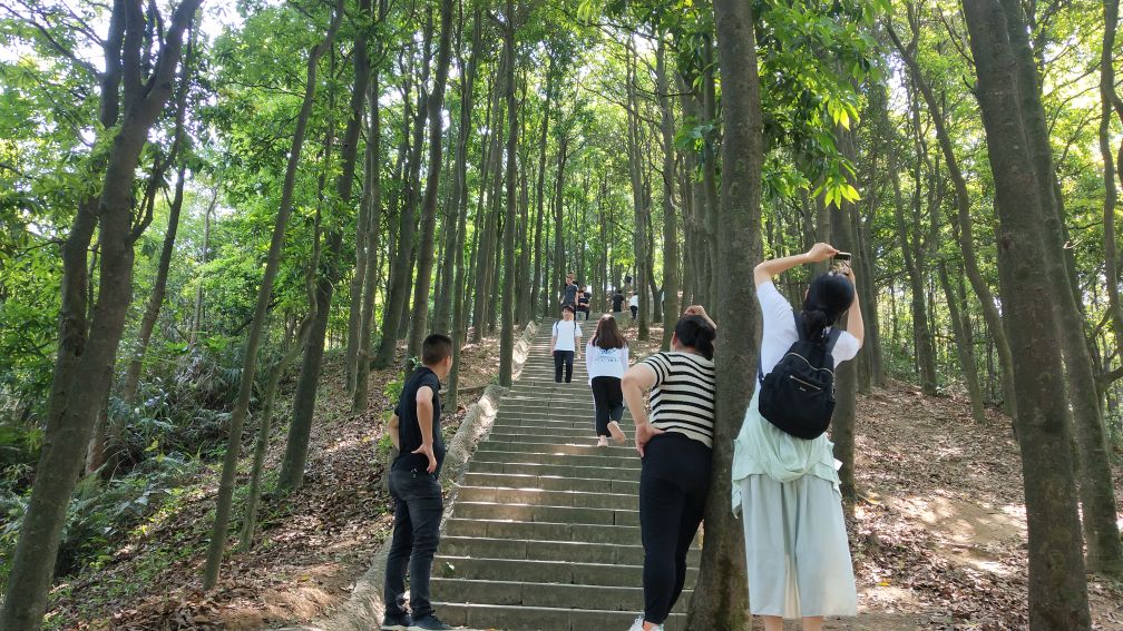 深圳羊台山风景区,深圳羊台山