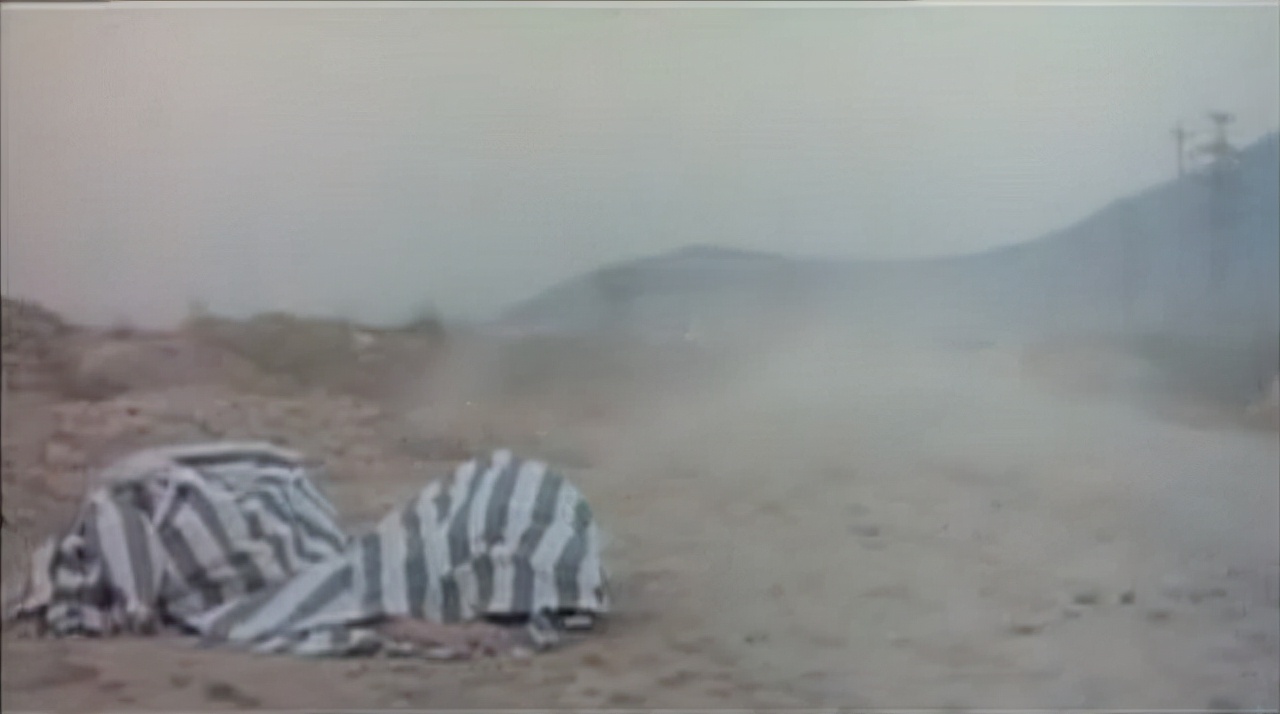 老汉贪卖冬瓜引发香港凶案,东莞老头贪便宜捡了一袋冬瓜