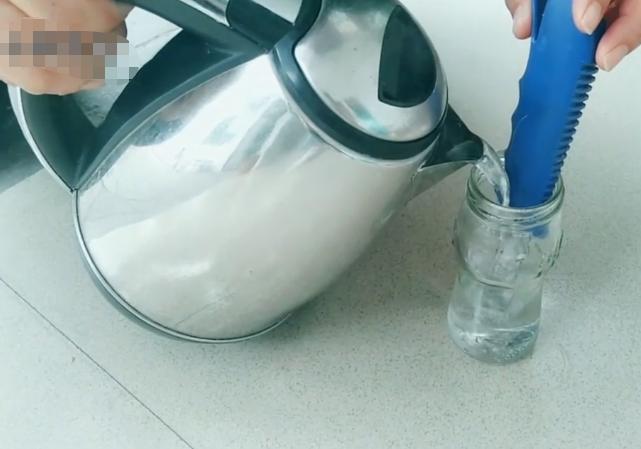 假昙花不嫁接也能长得很好,假昙花用什么嫁接好