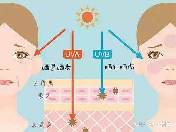 为什么推荐澳洲防晒产品？热带人民亲测，只有这几款能防晒黑