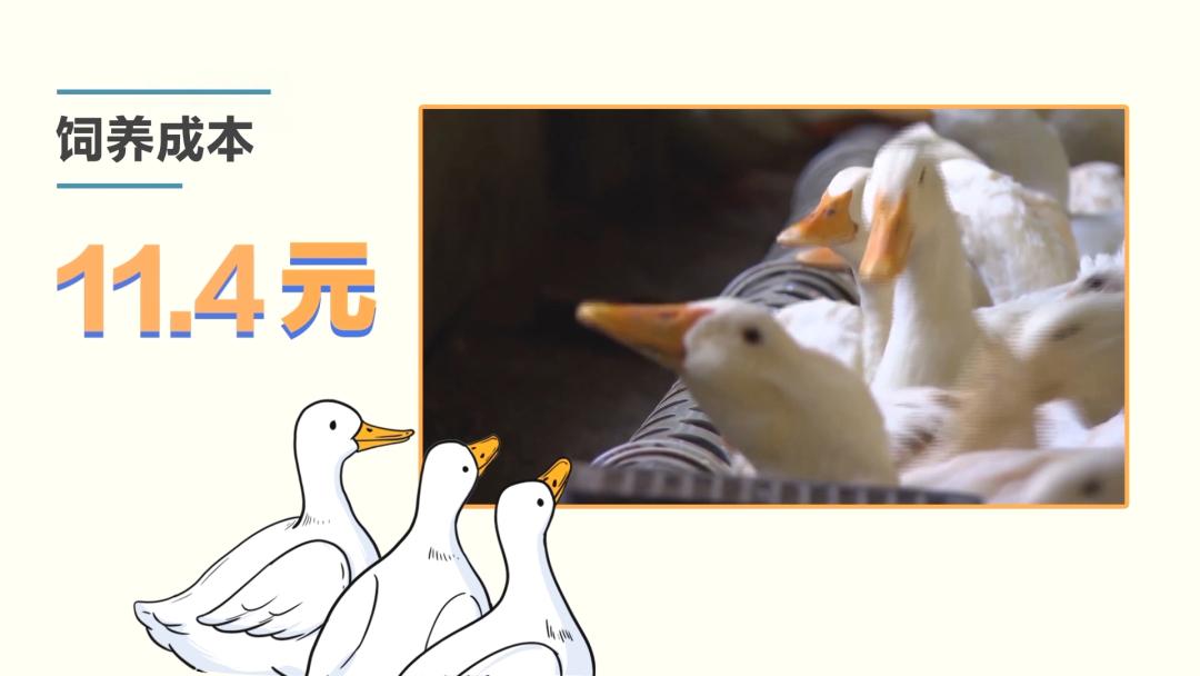 街边售卖的18元烤鸭,街边18元一只烤鸭哪个部位不能吃