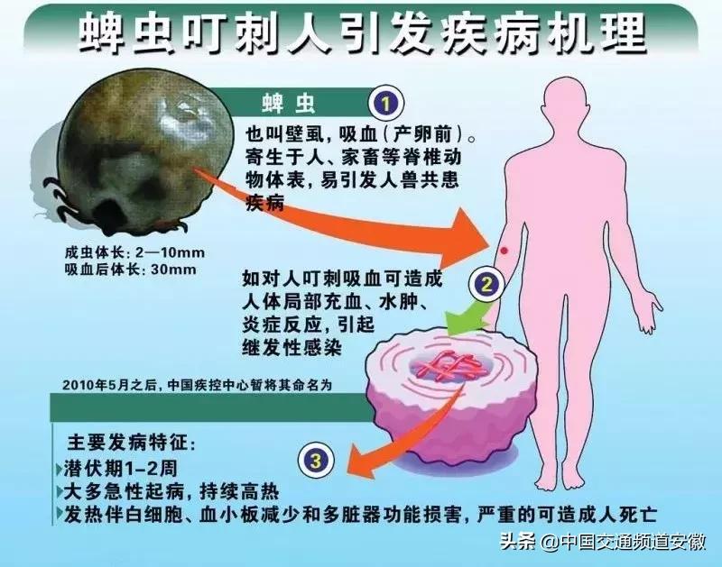 安医大二附院最新消息今天,安医大二附院住院部最新消息
