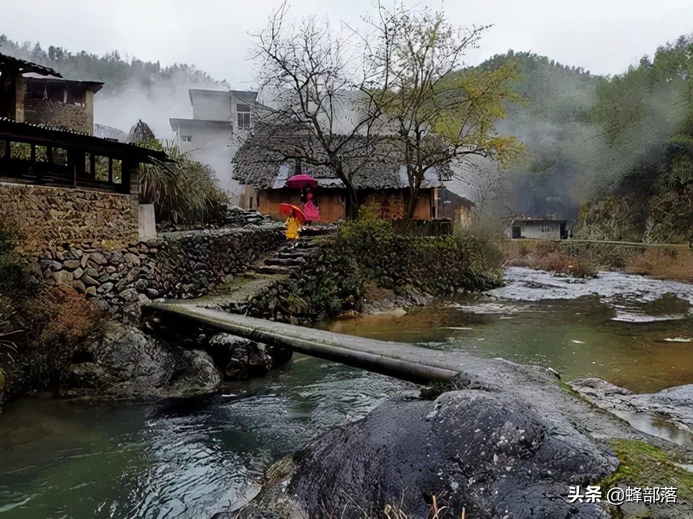 马云说未来农村致富好项目,马云预言农村未来三个行业最赚钱