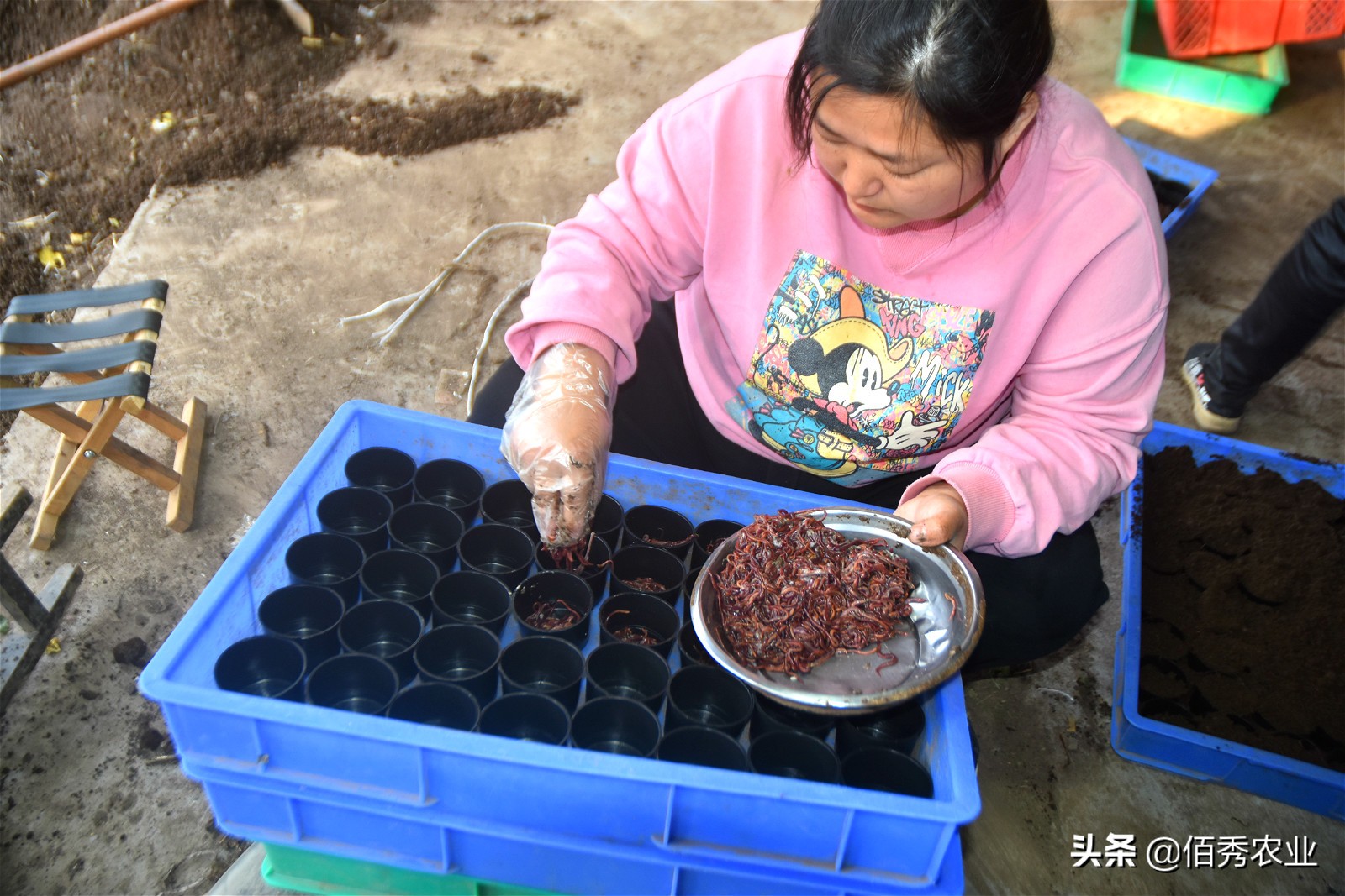 农村5类特色养殖,农村养殖哪种模式最靠谱