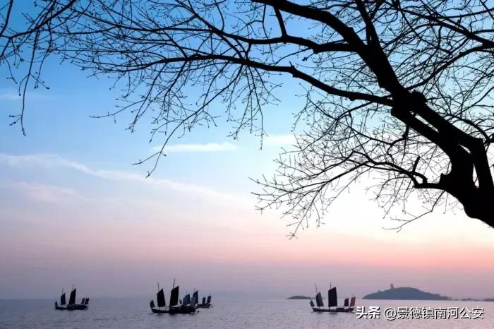 诗词专辑|落日涛声壮，长空雁影孤