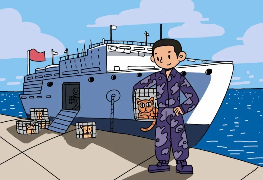 观往知来的含义,一封寄到西沙的信