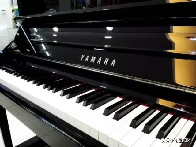 公司不按套路出牌,全网最不按套路出牌