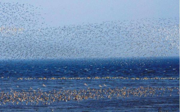 丹东旅游攻略2-3天,丹东旅游攻略美食推荐